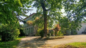 Un edificio con camino de grava y un gran árbol en primer plano.