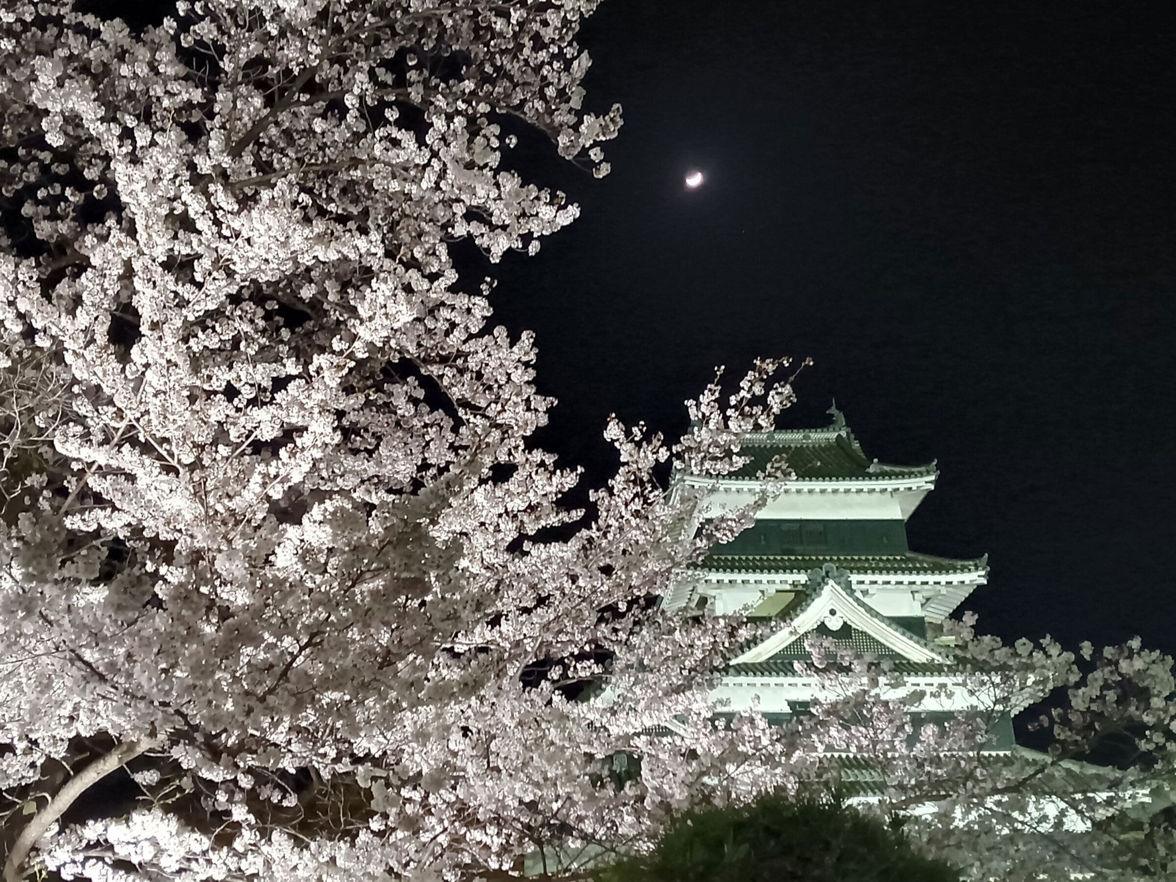 よろづや(山ノ内町)を予約 - 宿泊客による口コミと料金 | ホテルズ