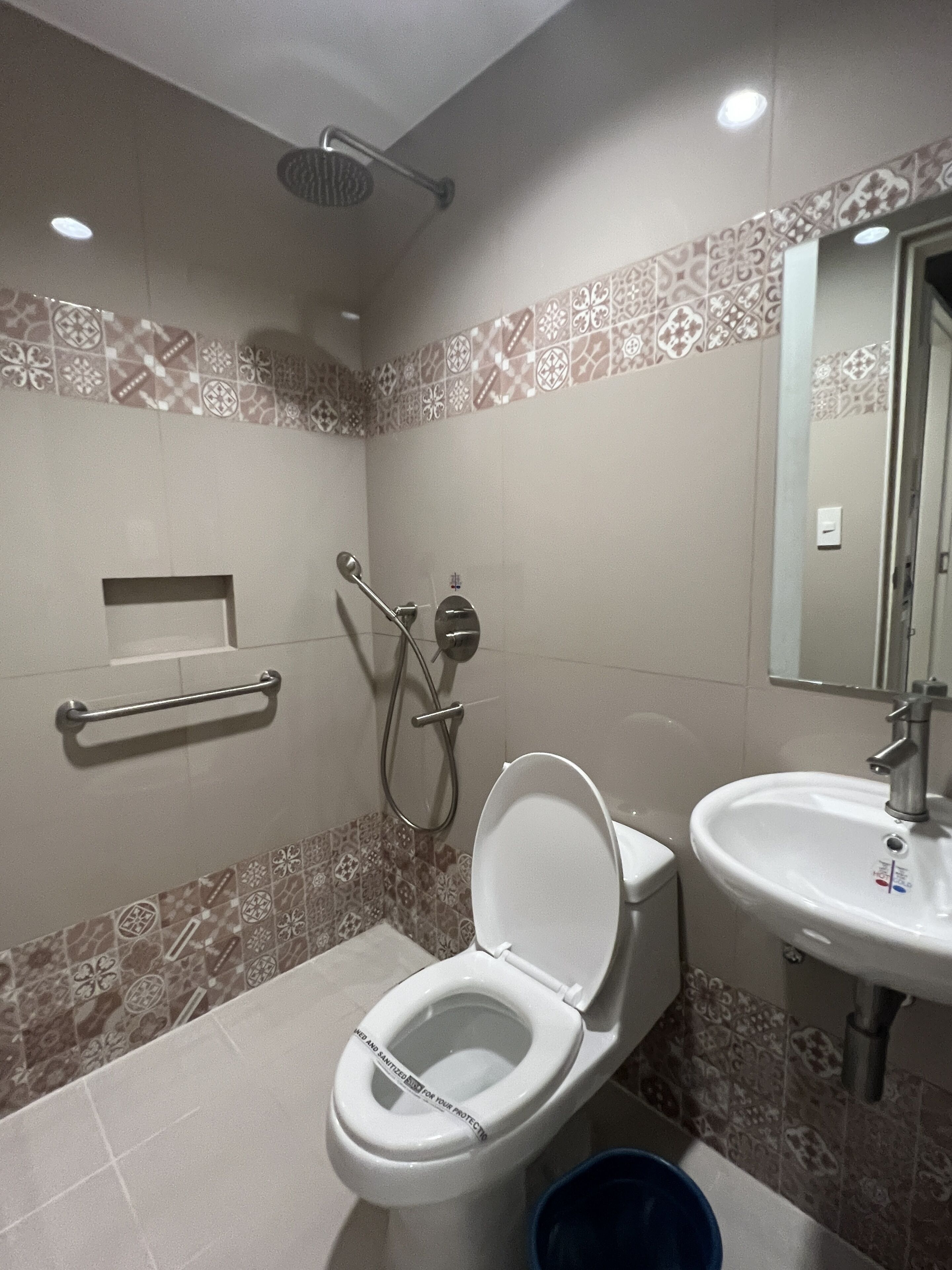 A bathroom with a toilet, a sink, a shower, and a handrail.