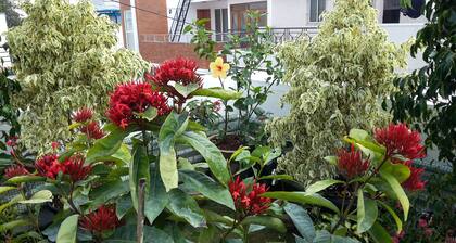 Ixora Suites
