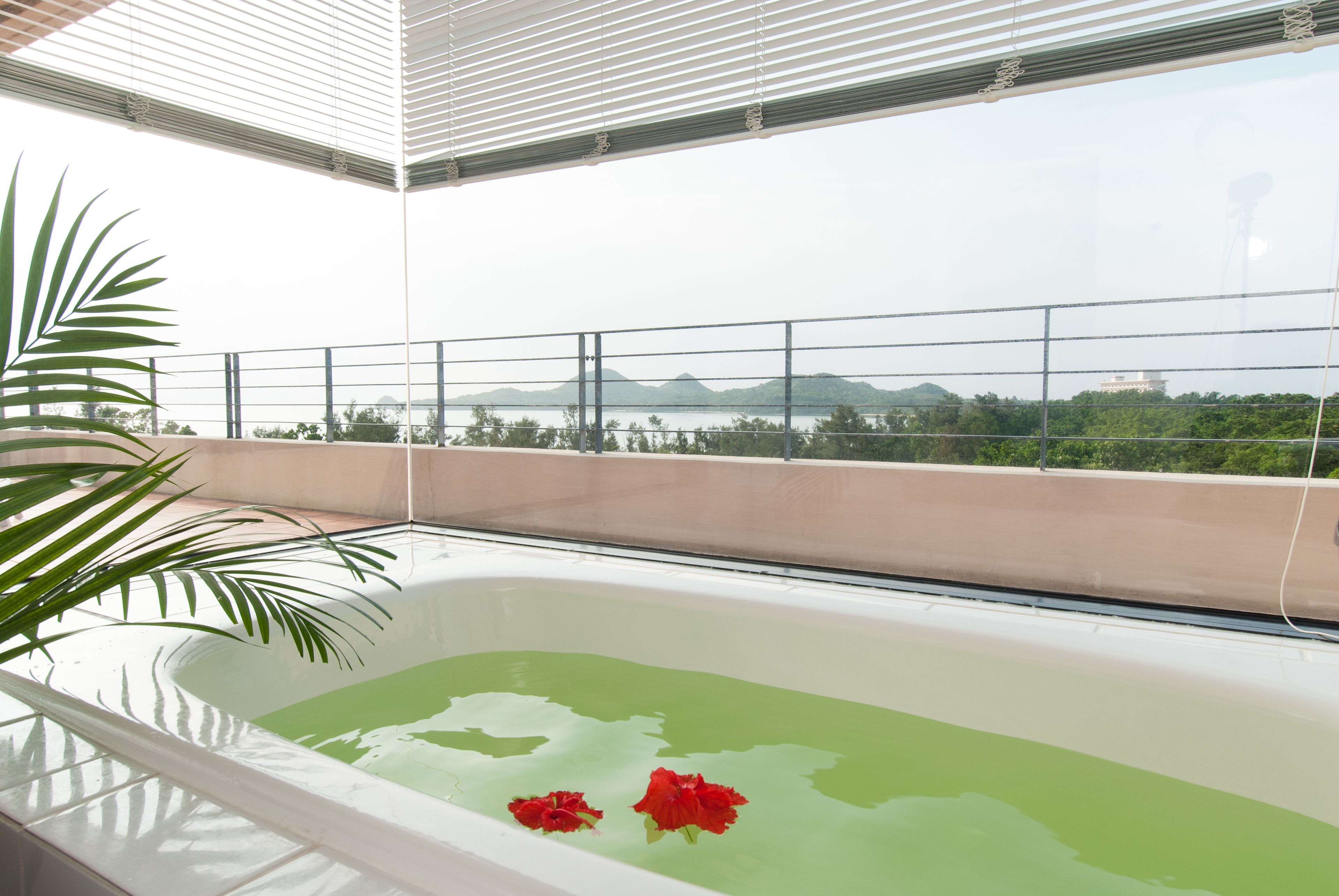 Suite junior, para no fumadores | Baño | Secadora de cabello y pantuflas 