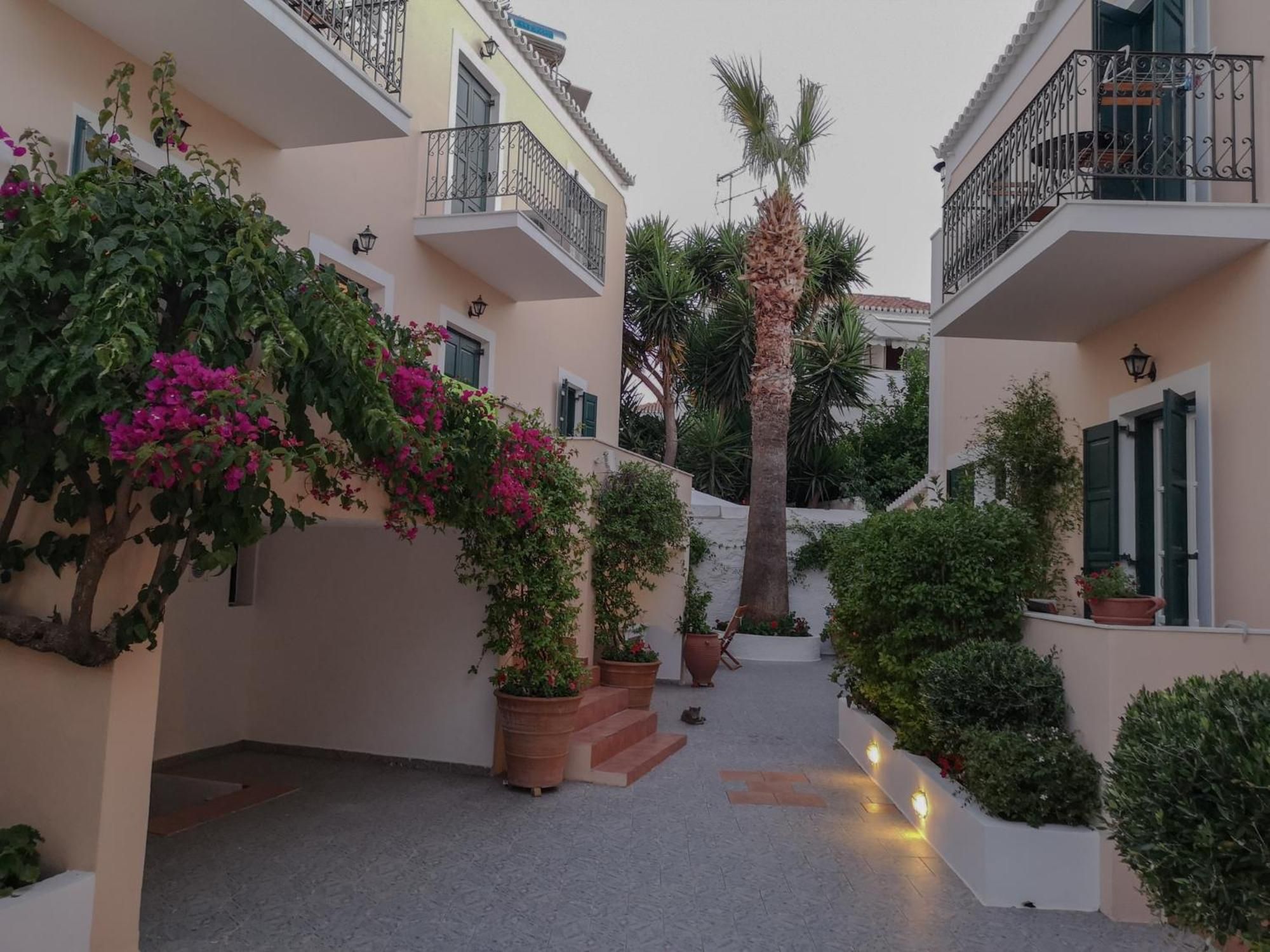 A courtyard with potted plants, a palm tree, and a staircase leading to a building with balconies.