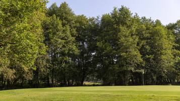 Golf view