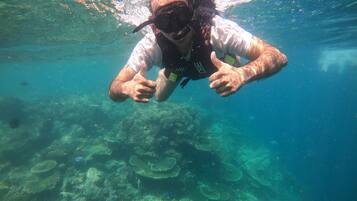 A diver underwater with a thumbs-up gesture, surrounded by coral reefs.