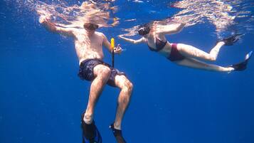 Two people snorkeling underwater.