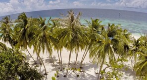A beach with palm trees and a view of the ocean. - Crystal Sands (Maafushi)