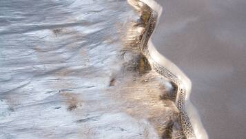 A close-up of a sandy beach with a distinct, smooth, and curved edge.