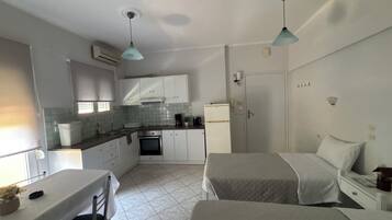 Apartment, 1 Bedroom (301) | Private kitchen | Fridge, electric kettle, cookware/dishes/utensils