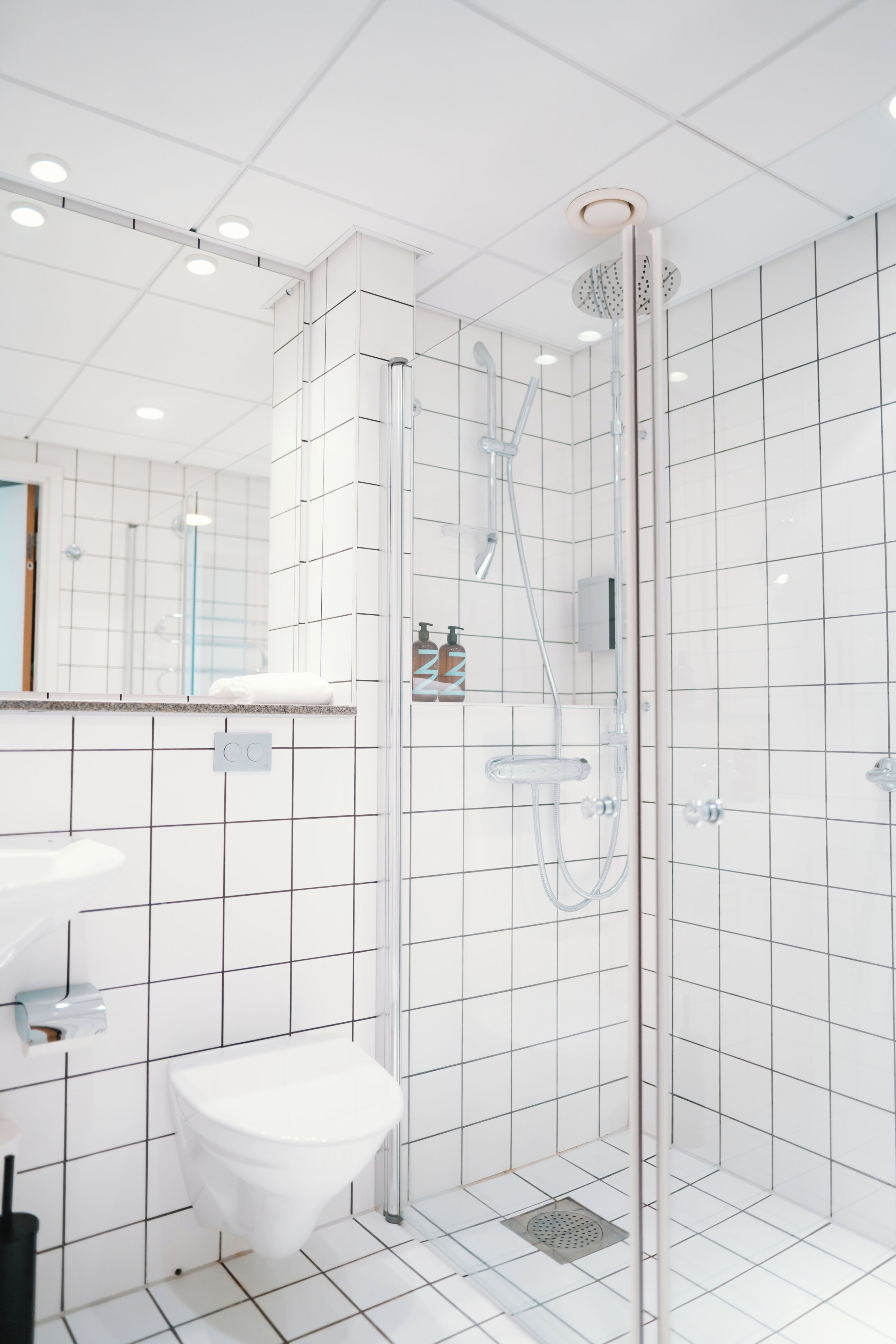 Towels, soap, shampoo, toilet paper