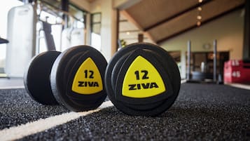Dois pesos com o número 12 e a marca ZIVA, sobre um chão texturizado.