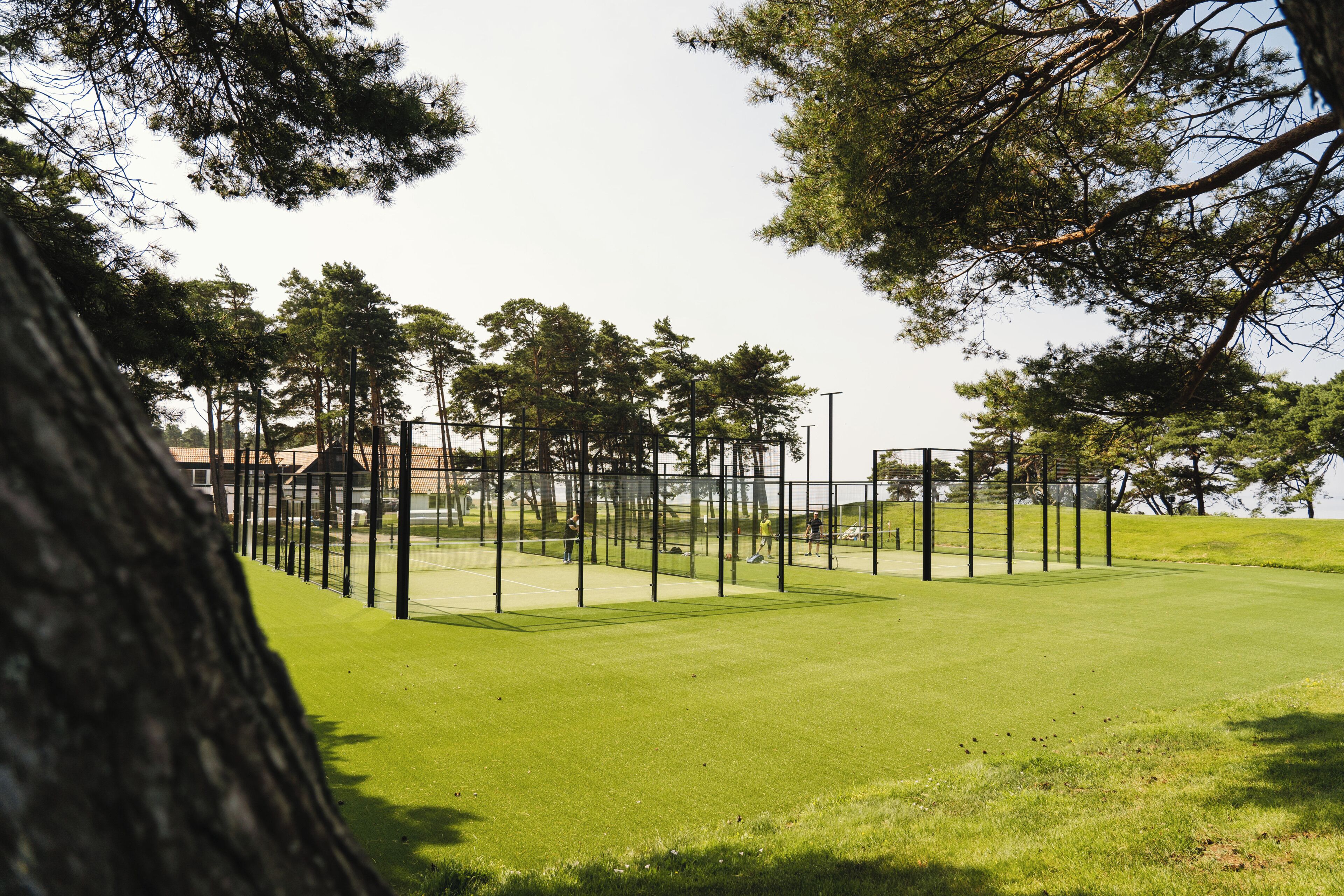Ein Tennisplatz mit Netz, umgeben von Bäumen und einem Zaun.