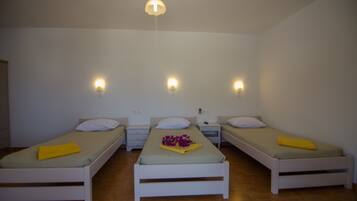 Triple Room | Peti besi dalam bilik, seterika/papan seterika, Wi-fi percuma