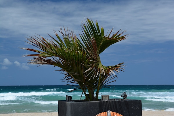 Vue sur la plage/lâocĂ©an