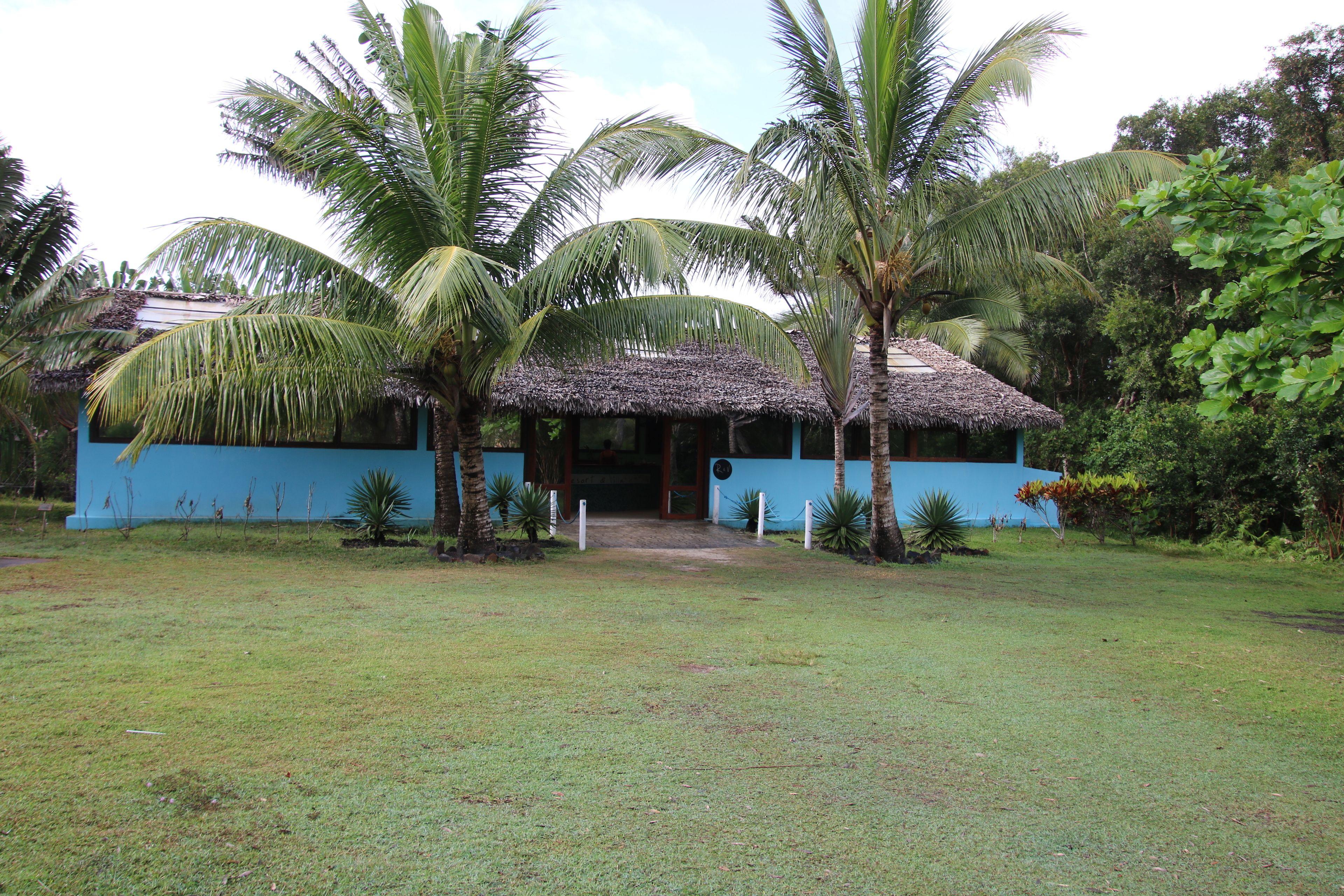A house with a thatched roof, surrounded by palm trees and a well-maintained lawn.