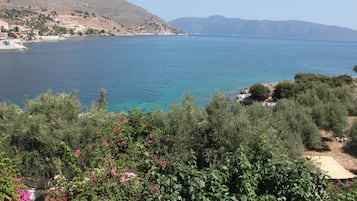 Pemandangan dari properti