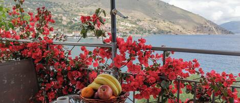 Basic Studio, Sea View | Beach/ocean view