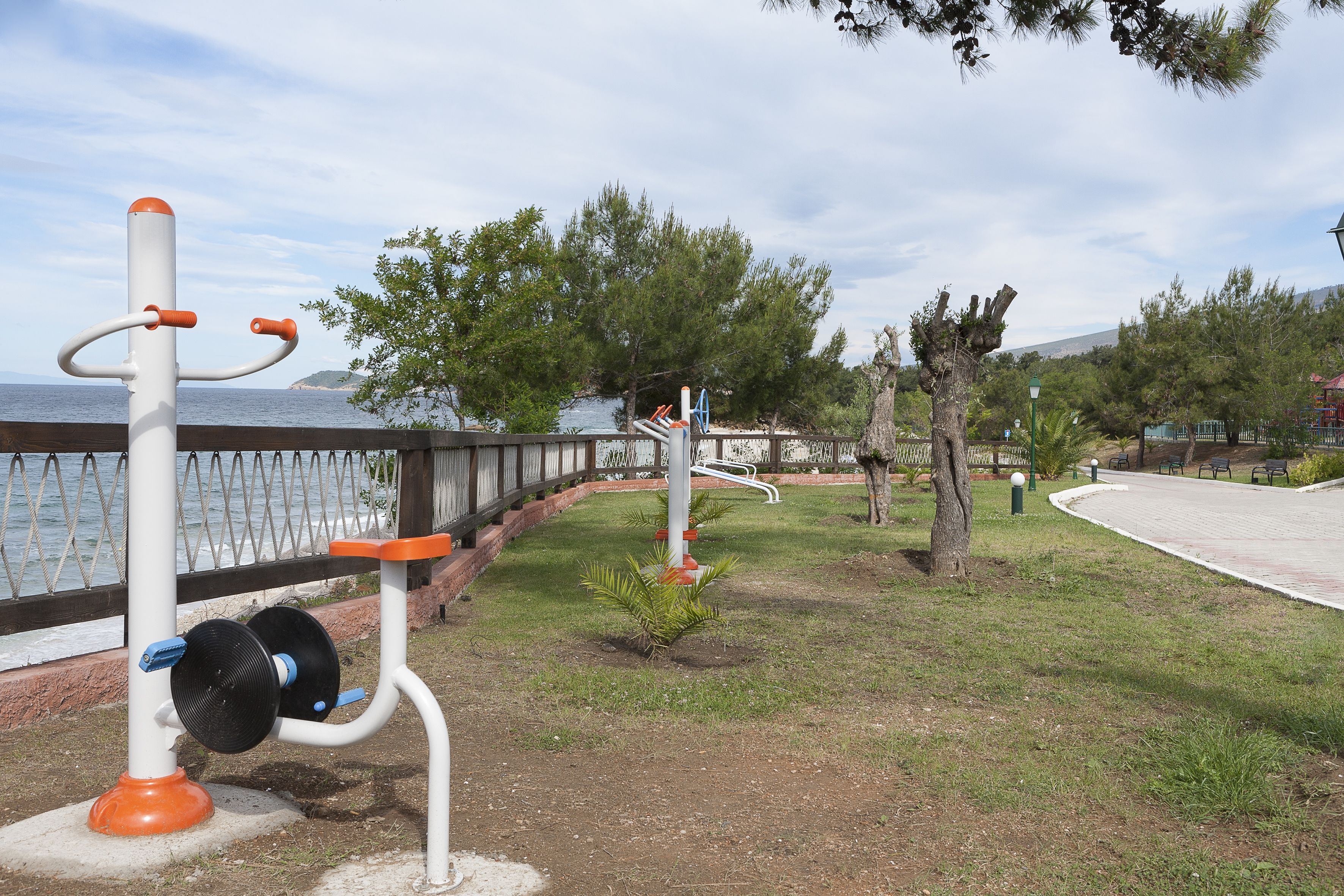 Outdoor exercise equipment near a waterfront with a paved walkway and trees.