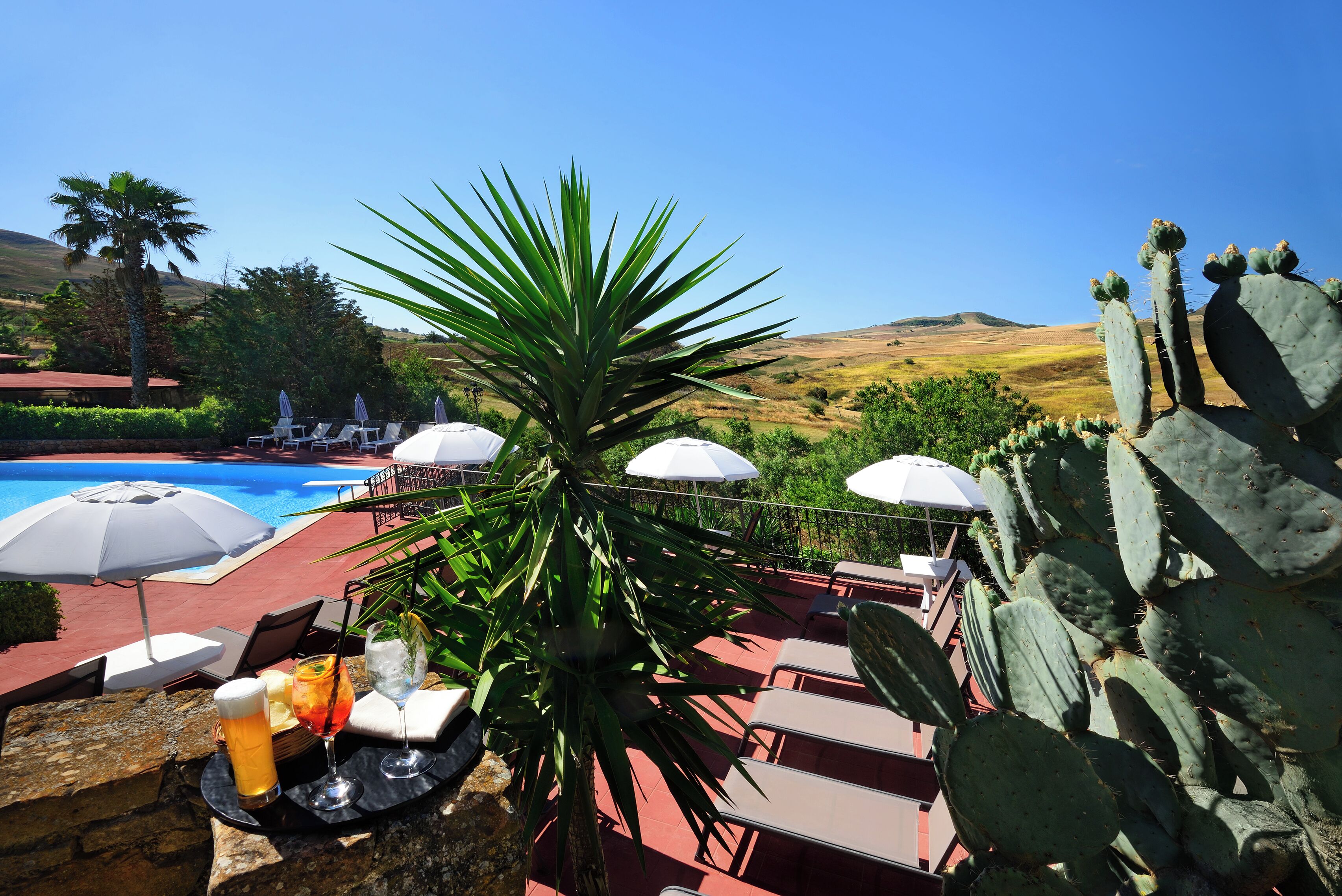 Un área junto a la piscina con sillones de descanso, sombrillas y una planta de cactus.