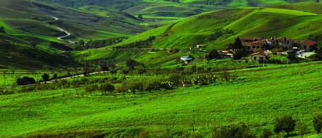 A rural landscape with rolling hills, a winding road, and a cluster of buildings with red roofs.