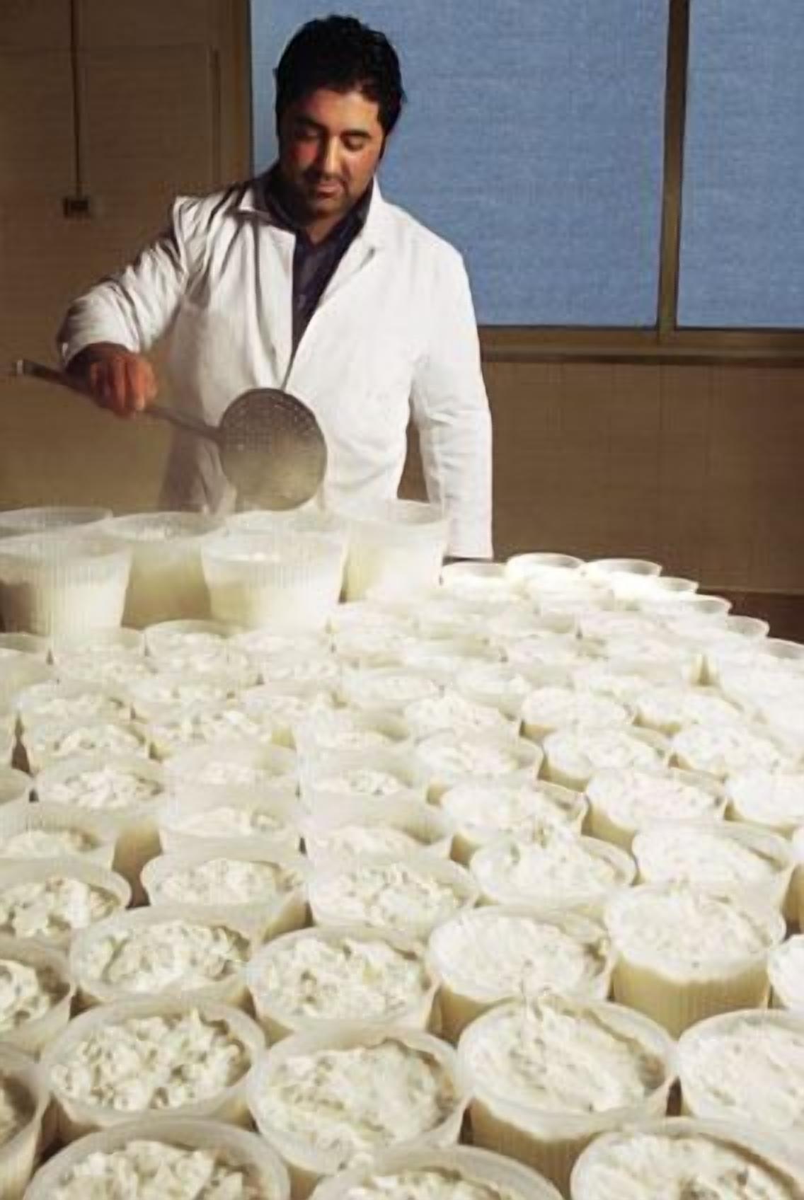Een persoon in een witte laboratoriumjas die een opscheplepel hanteert boven een groot aantal containers gevuld met een witte substantie, vermoedelijk in een voedselverwerkings- of productieomgeving.