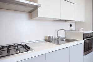 Superior Apartment, 2 Bedrooms, Kitchenette, City View | Private kitchen