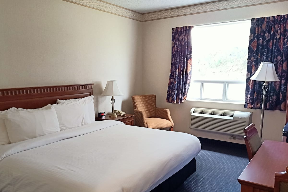 Deluxe Room, 1 King Bed, Non Smoking