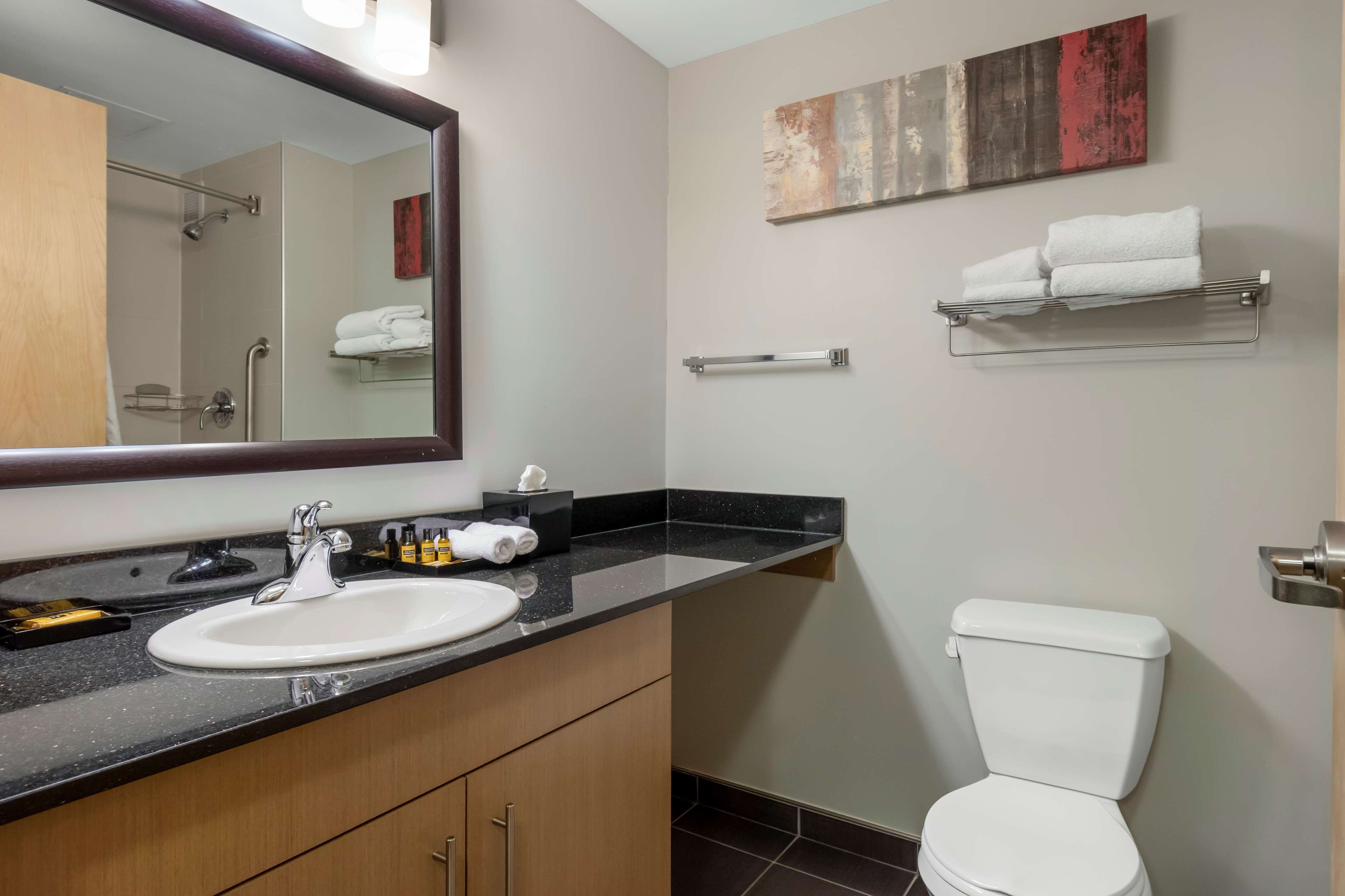 combined shower/bathtub, free toiletries, hair dryer, towels