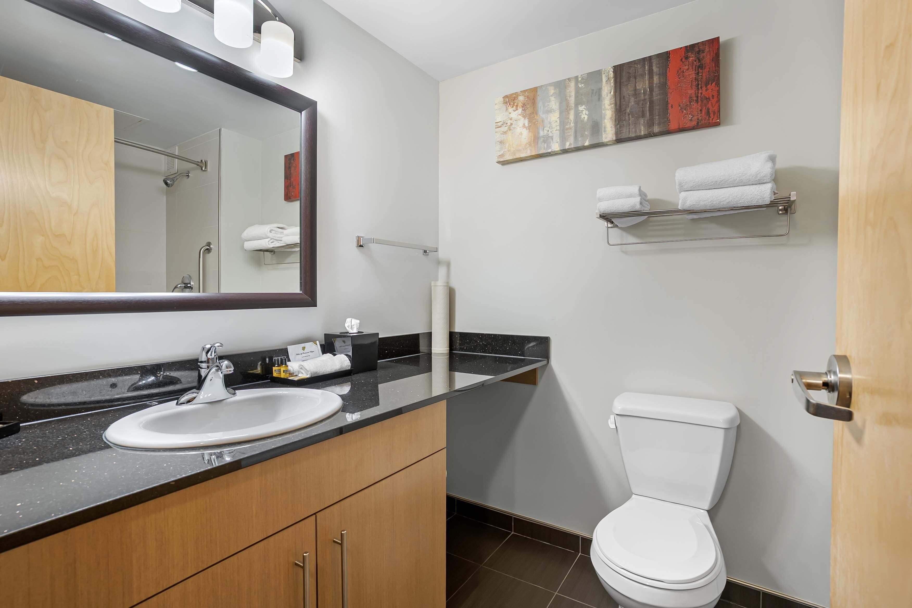 Een moderne badkamer met een grote spiegel, een wastafel, toilet en een handdoekrek.