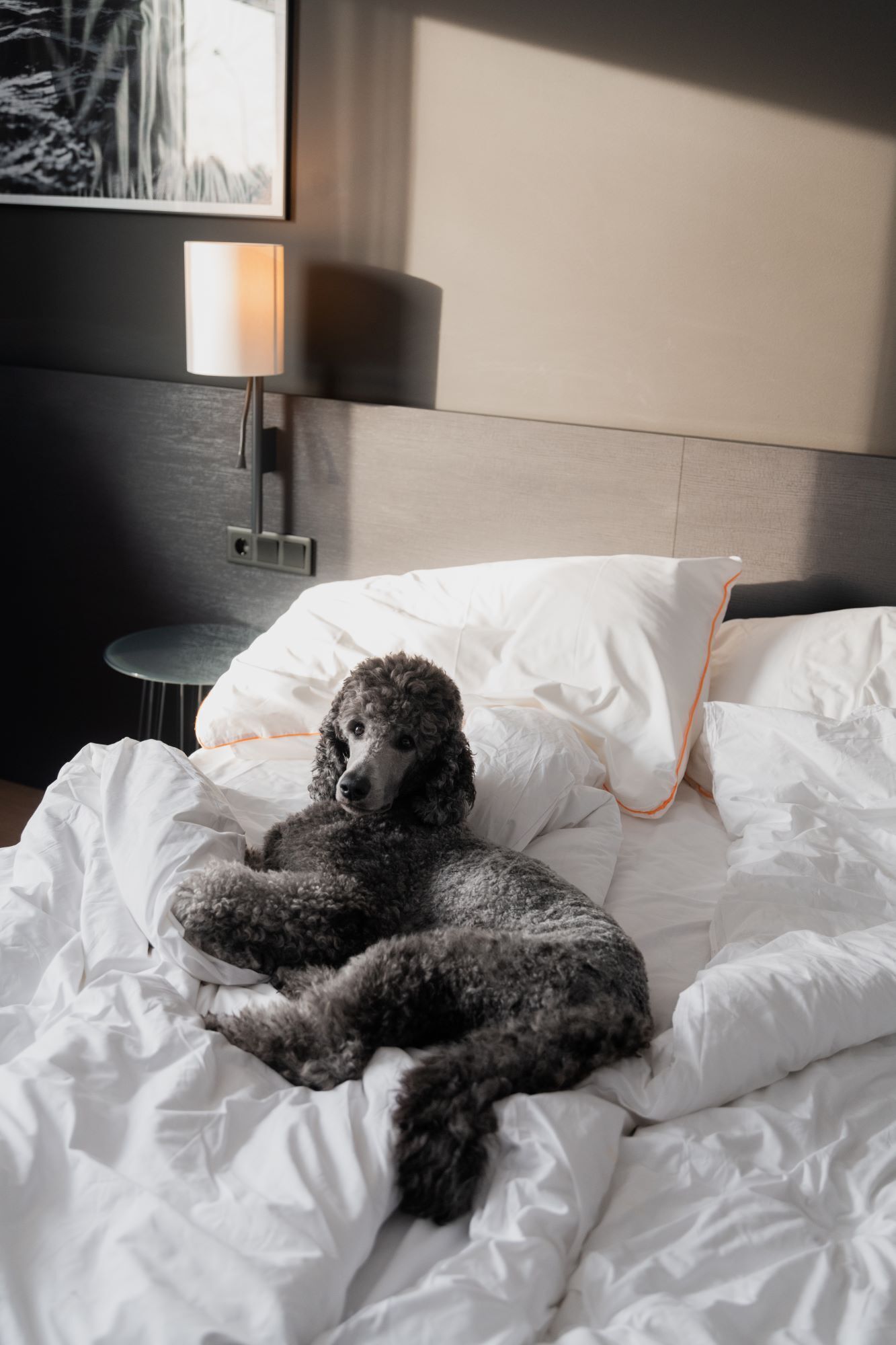 in-room safe, desk, blackout curtains, cots/infant beds