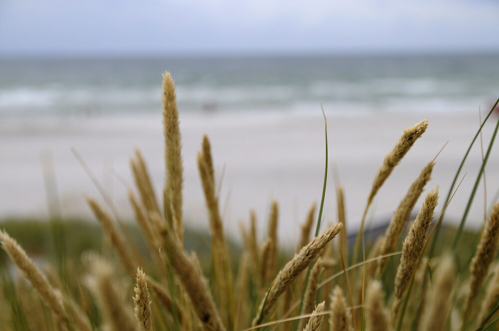 Skanörs Gästgifvaregård by null