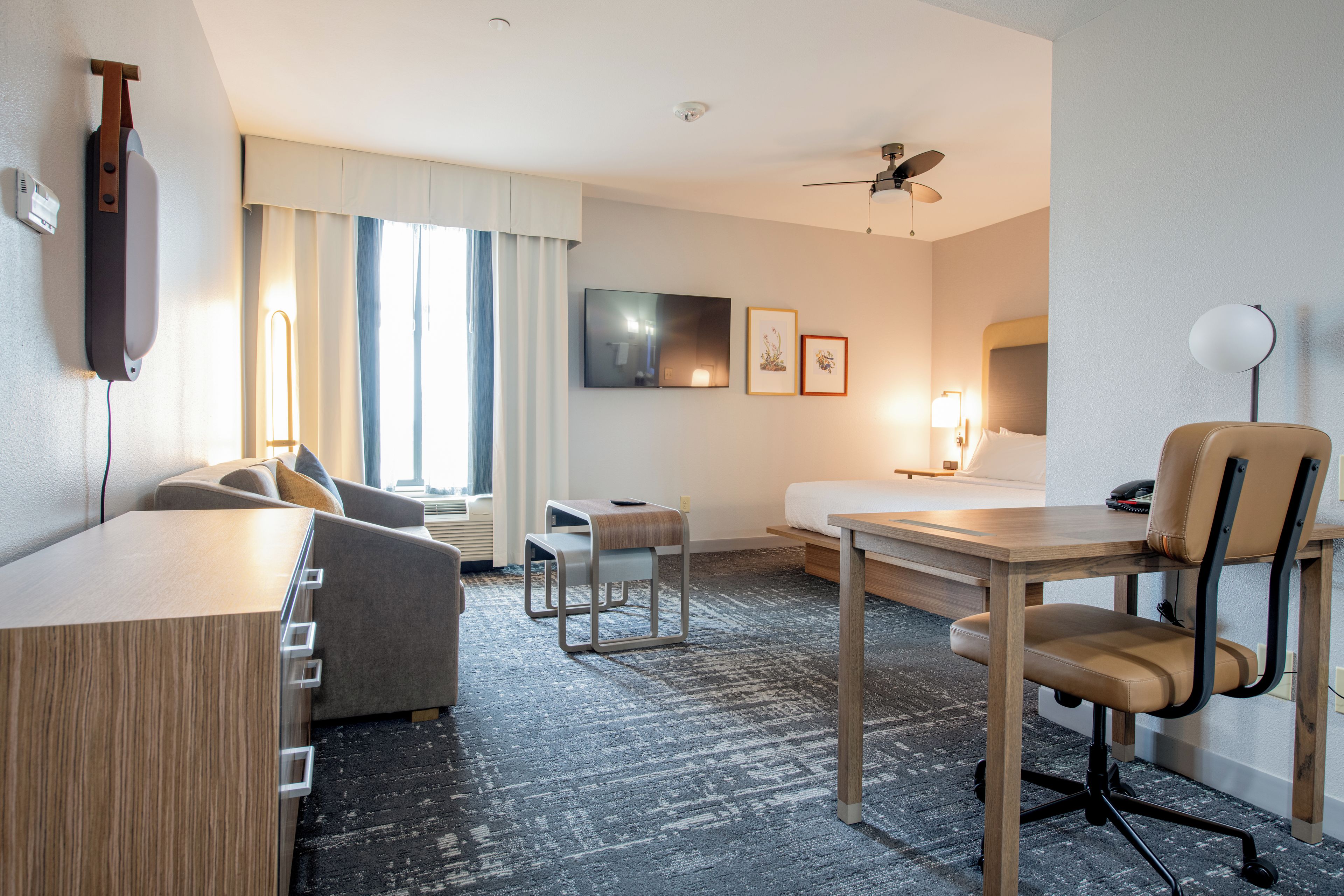 A hotel room with a bed, a desk, a chair, a TV, and a ceiling fan.
