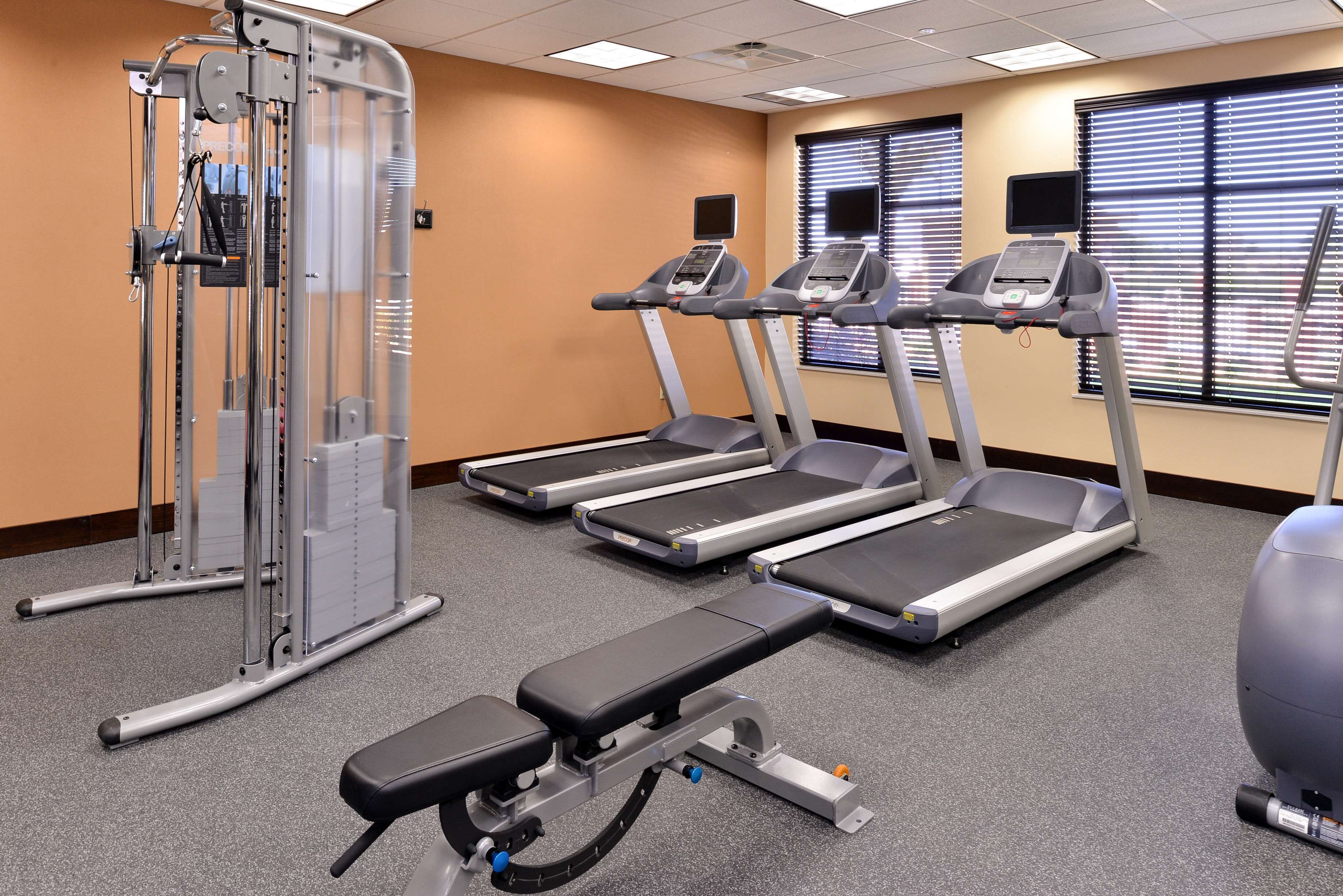A gym with treadmills, a weight machine, and a stationary bike.