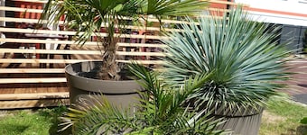 Hôtel Arbor