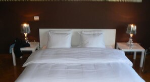 Desk, iron/ironing board, free WiFi, bed sheets - Residentie Continental (Antwerp)
