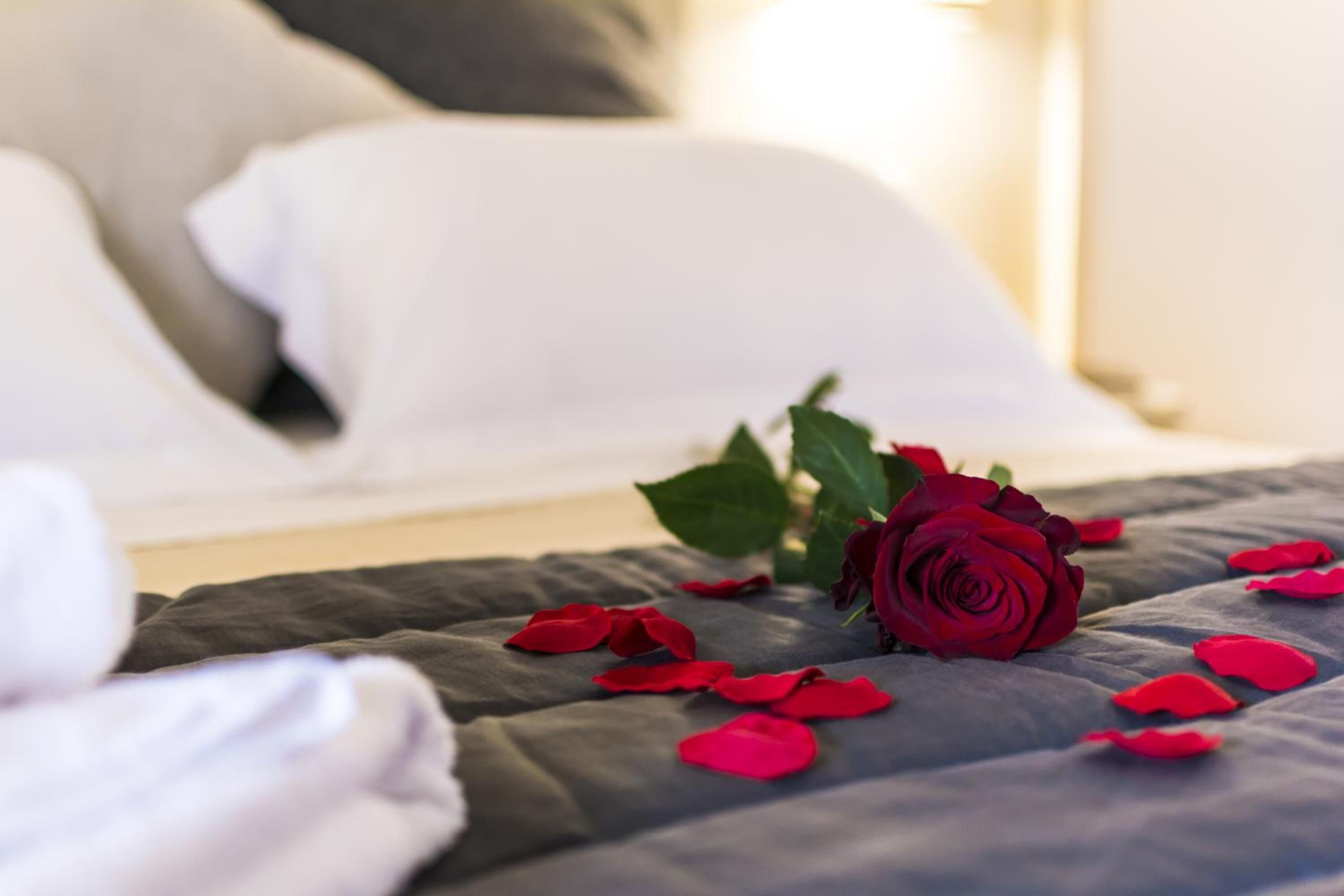Cama com cobertor escuro e uma única rosa vermelha com pétalas espalhadas.