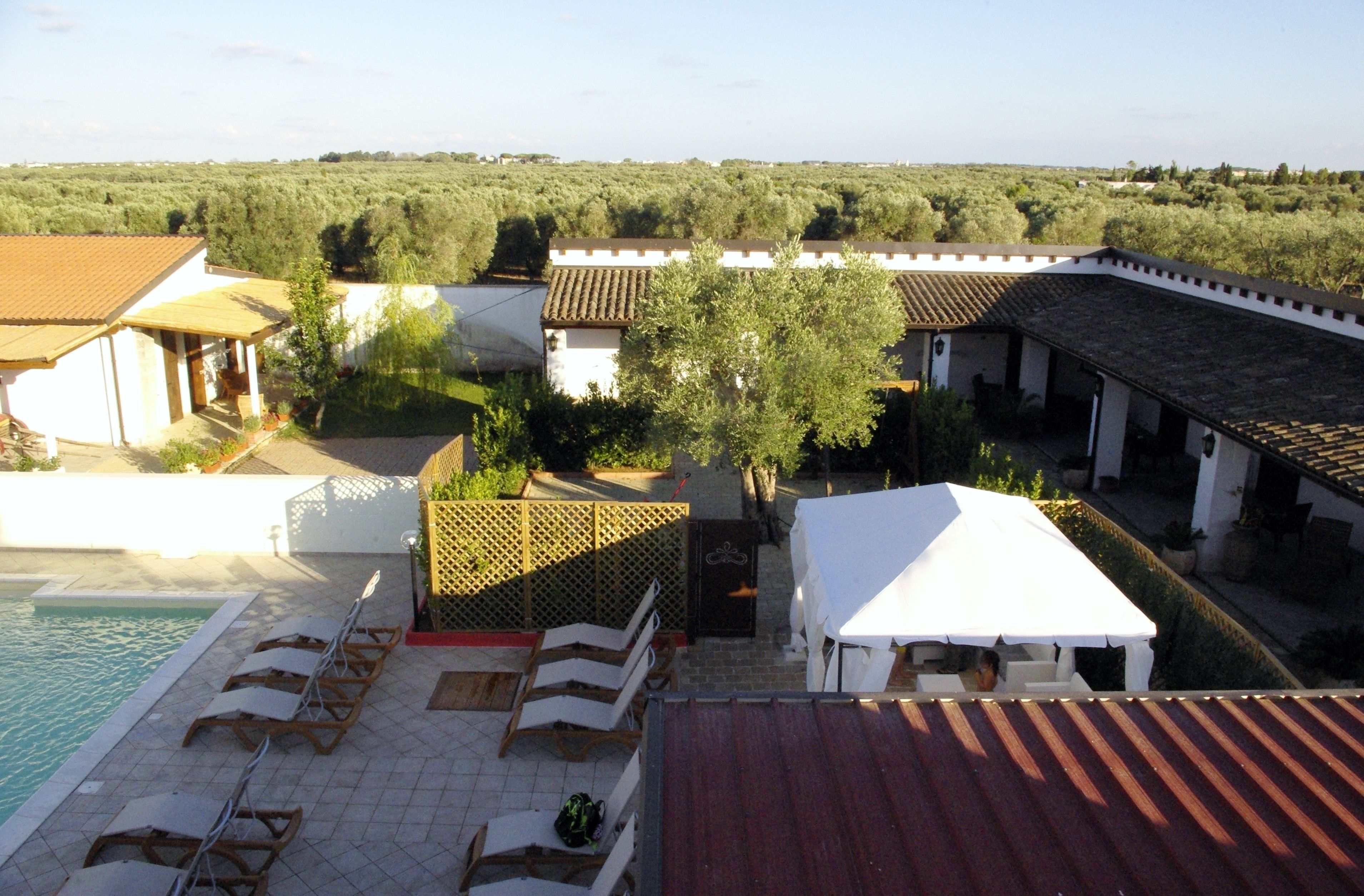 A pool area with lounge chairs, a covered seating area, and a view of olive groves in the background.