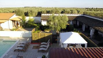 A pool area with lounge chairs, a covered seating area, and a view of olive groves in the background.
