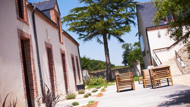 Un patio con dos bancos de madera, un árbol grande y un edificio de paredes de ladrillo y blanco.