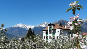 Un edificio de dos pisos con fachada blanca y detalles verdes, rodeado de árboles en flor y montañas nevadas al fondo.