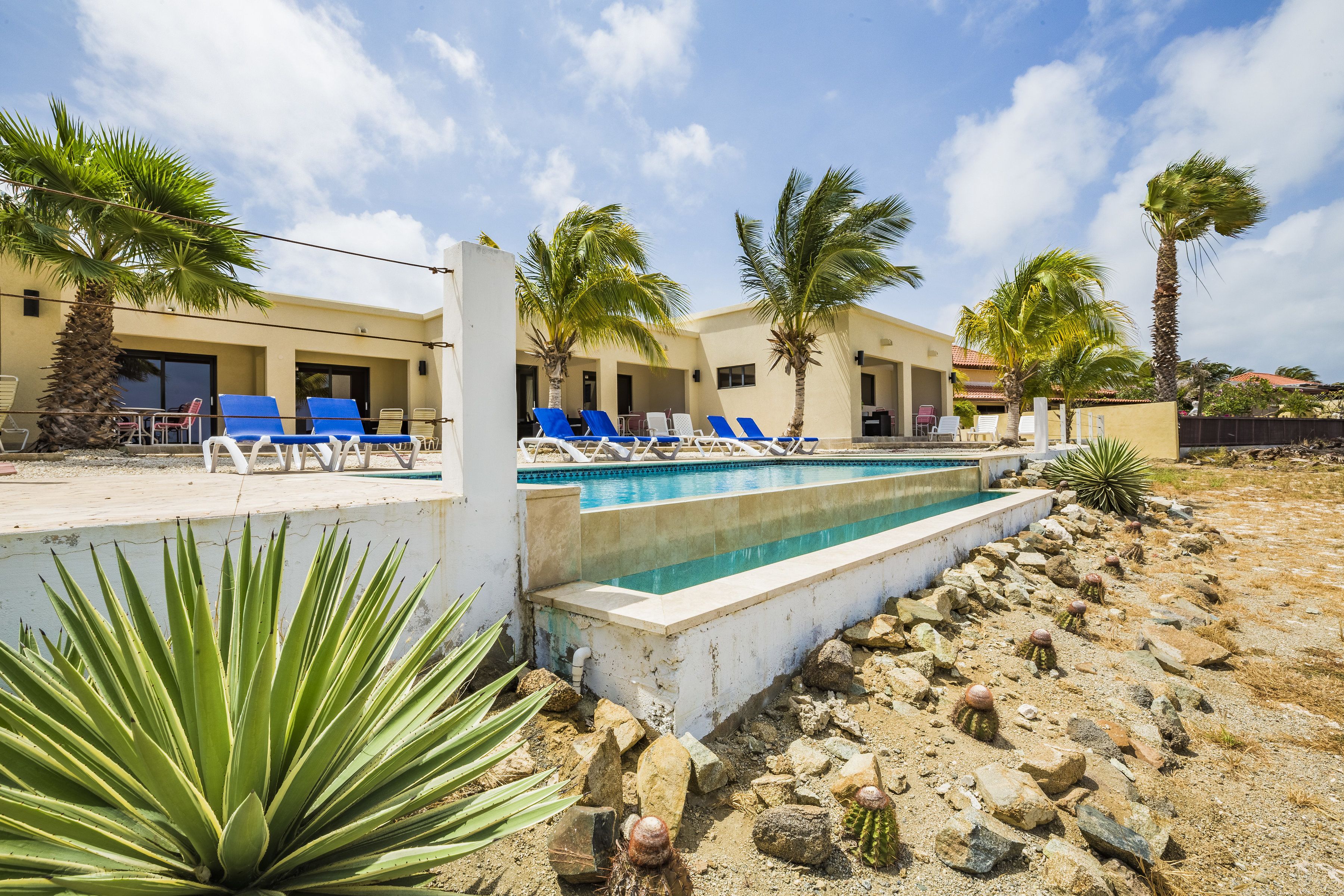 Outdoor pool, pool loungers