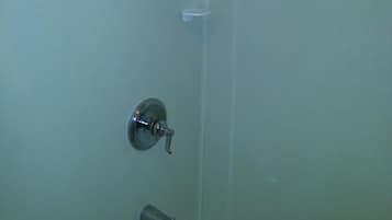 Shower, hair dryer