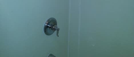 Shower, hair dryer