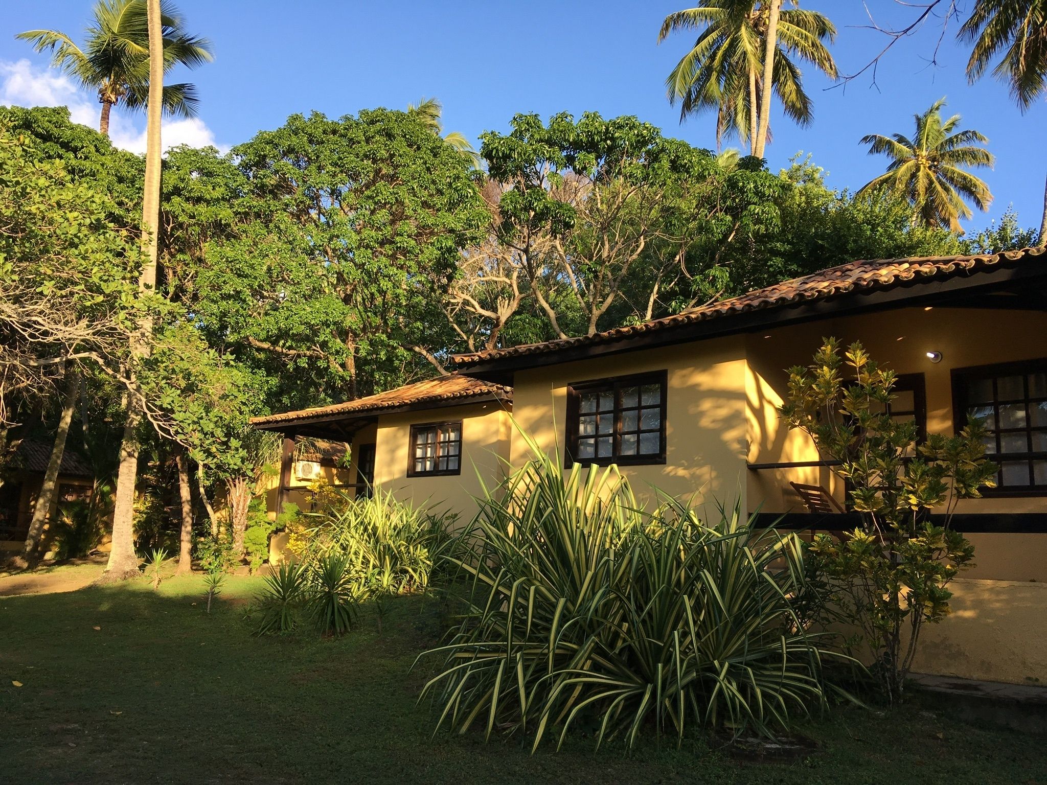 A two-story building with a tiled roof, surrounded by lush greenery and palm trees.
