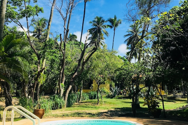2 outdoor pools, pool umbrellas, sun loungers