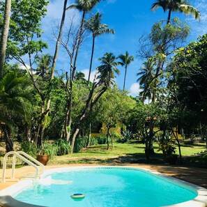 Una piscina rodeada de exuberante vegetación y altas palmeras.