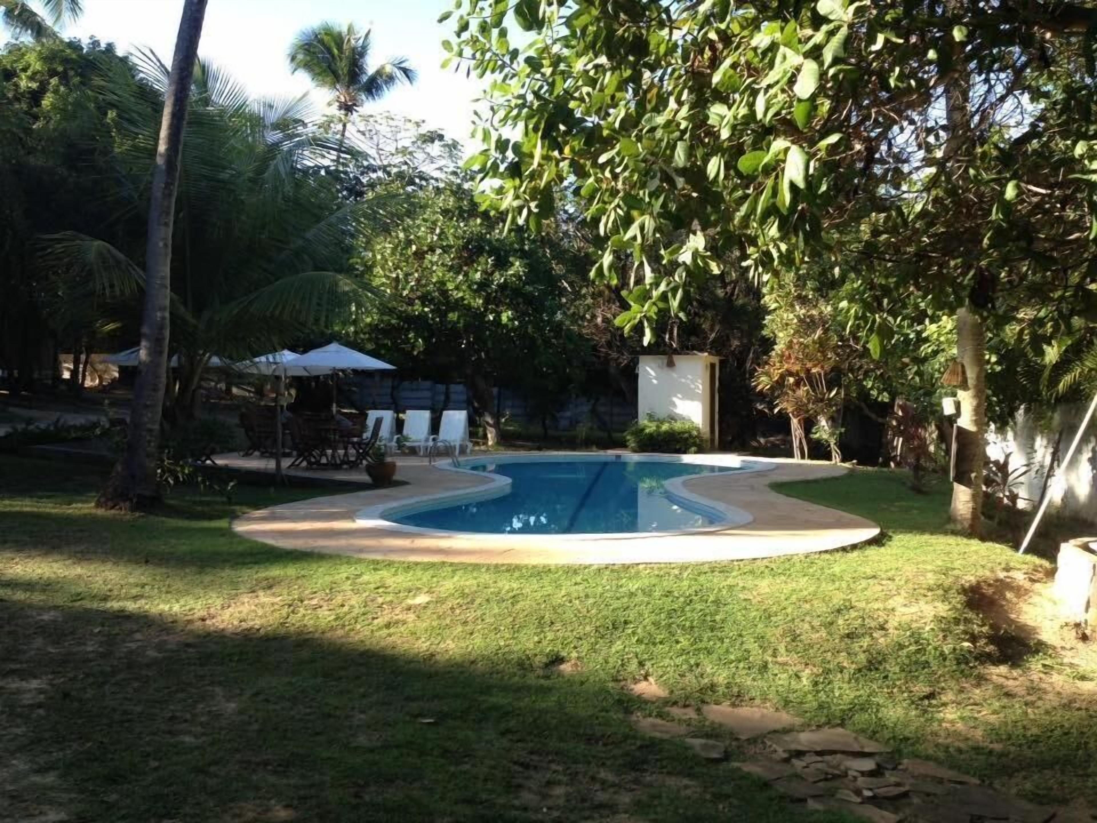 Une piscine entourée de pelouse et d’arbres, avec des chaises longues et des parasols.