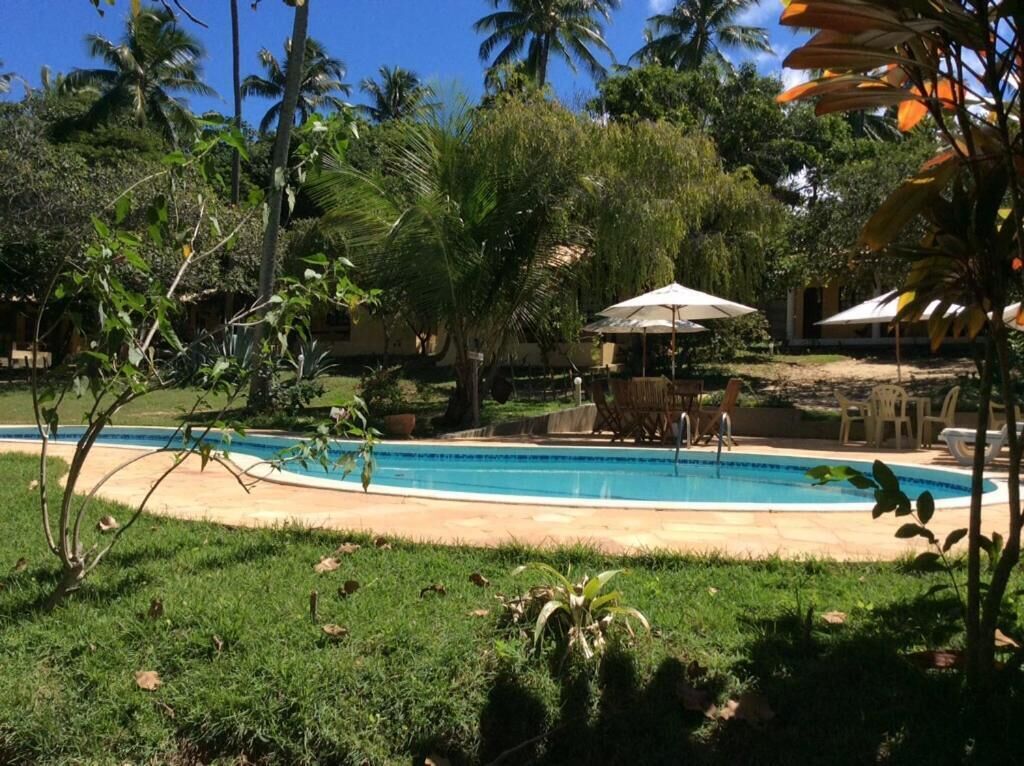 Ein Schwimmbecken, umgeben von üppiger Vegetation und Palmen, mit Sitzgelegenheiten und Sonnenschirmen im Freien.