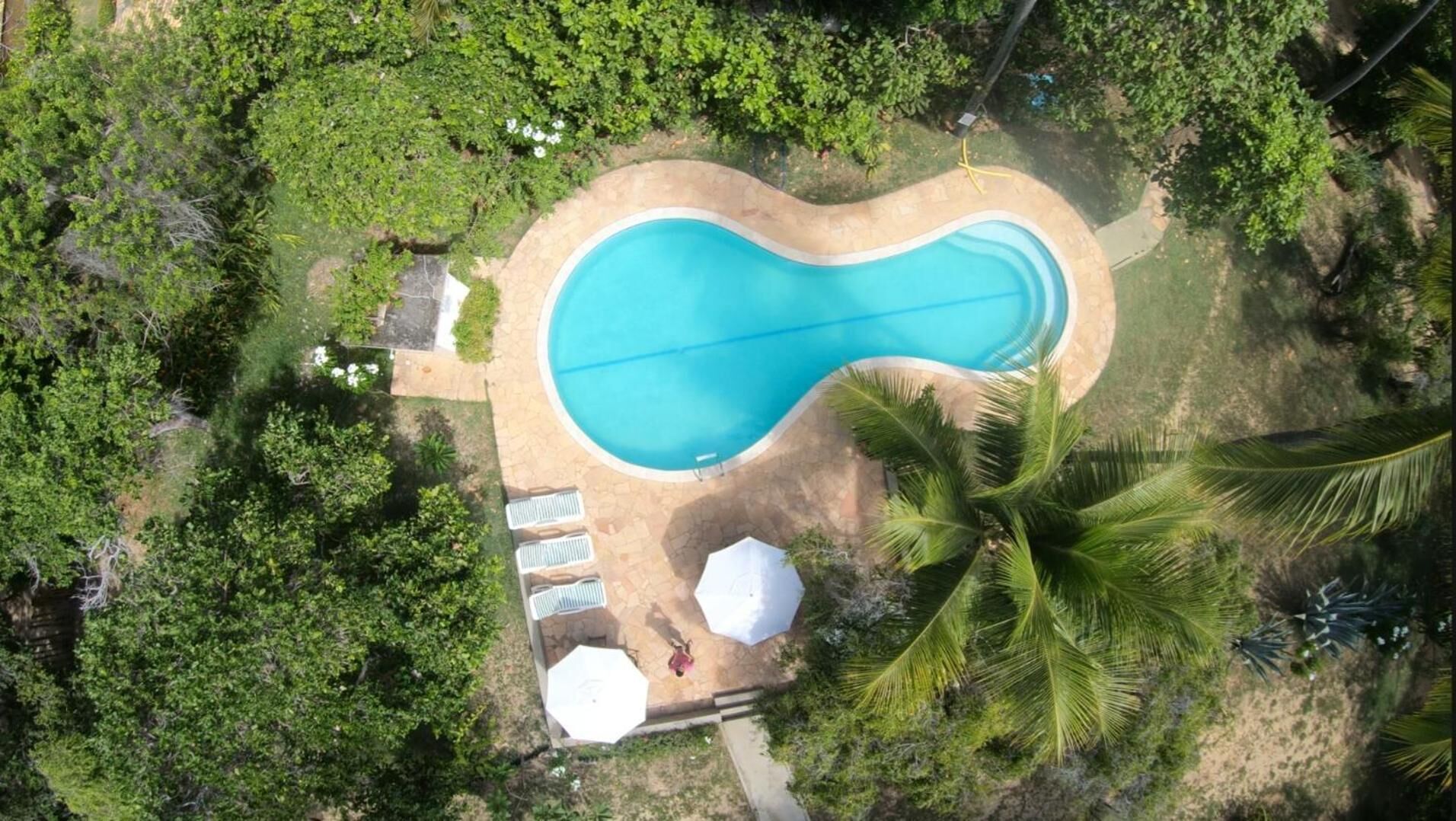 An aerial view of a swimming pool surrounded by lush greenery and palm trees.