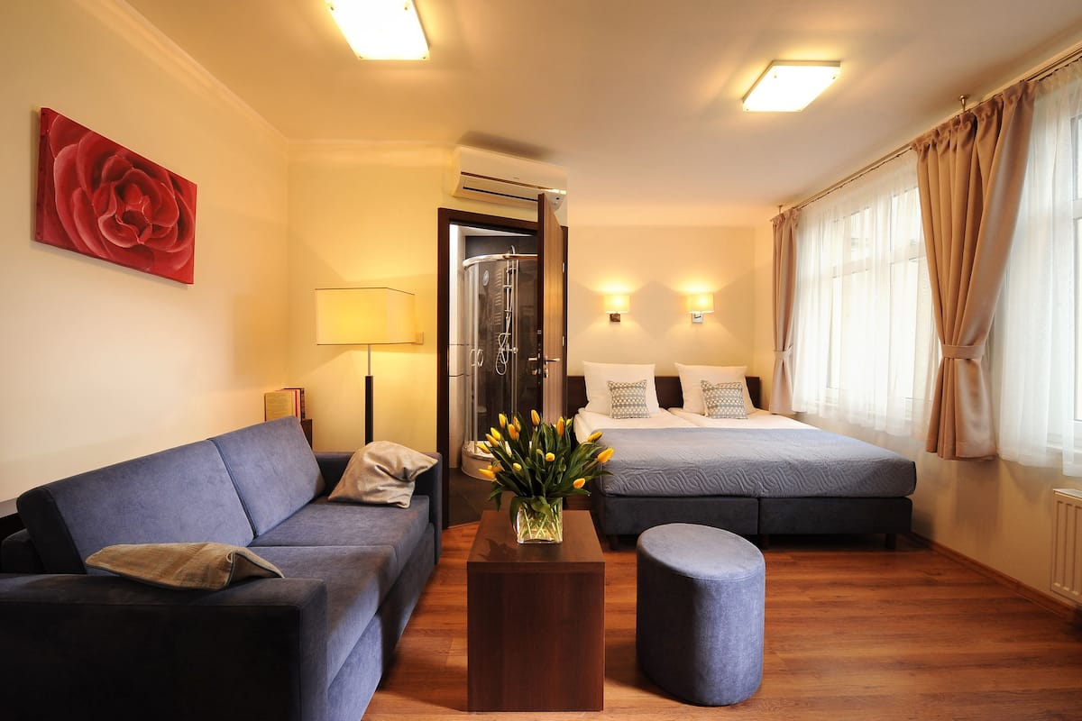 A hotel room with a sofa, a bed, a small table with a vase of flowers, and a shower area.