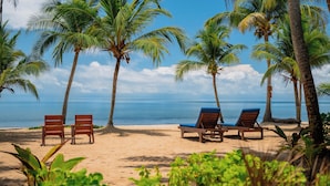 Une plage bordée de palmiers et parsemée de chaises longues.